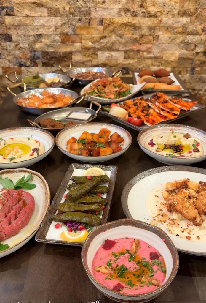 Spread of Mediterranean mezze plates including hummus, salads and grilled meats at Darna Mediterranean Grill