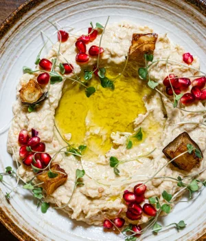 babaghanoush-darna-tampa